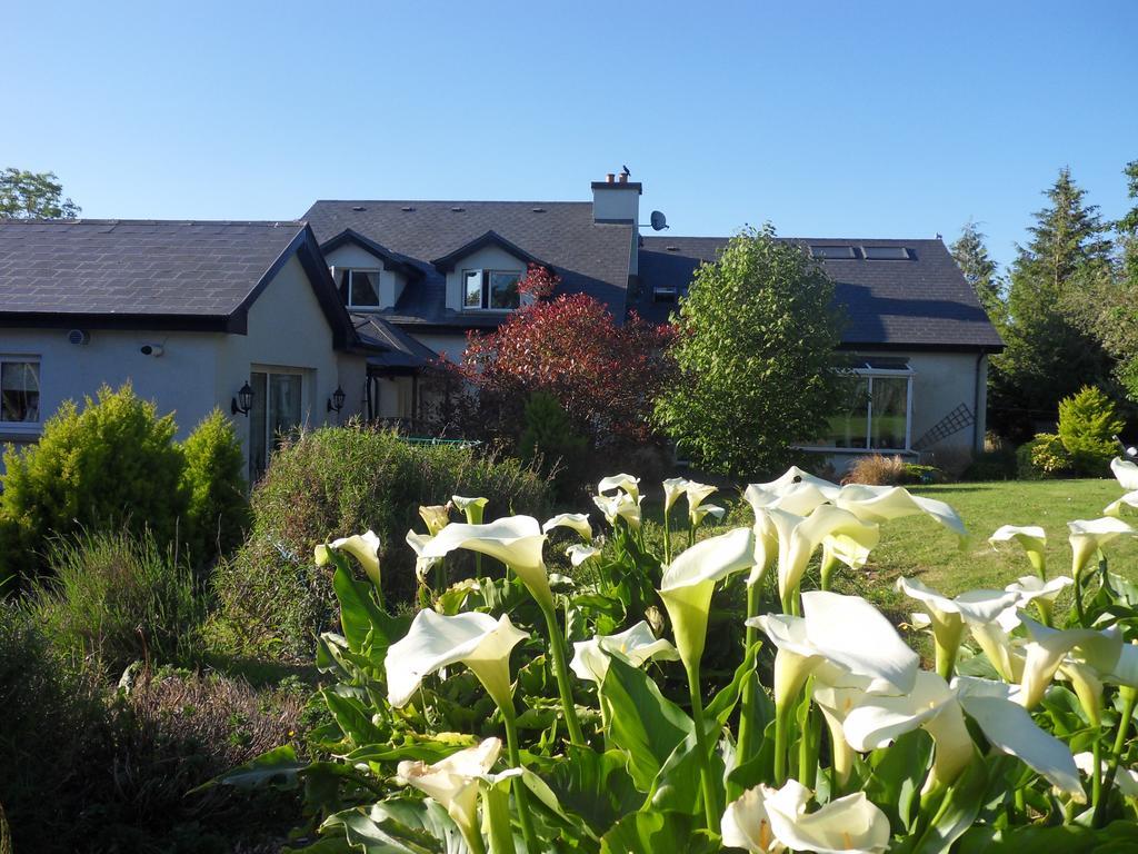 Ethan House Holiday Suites Киларни Екстериор снимка